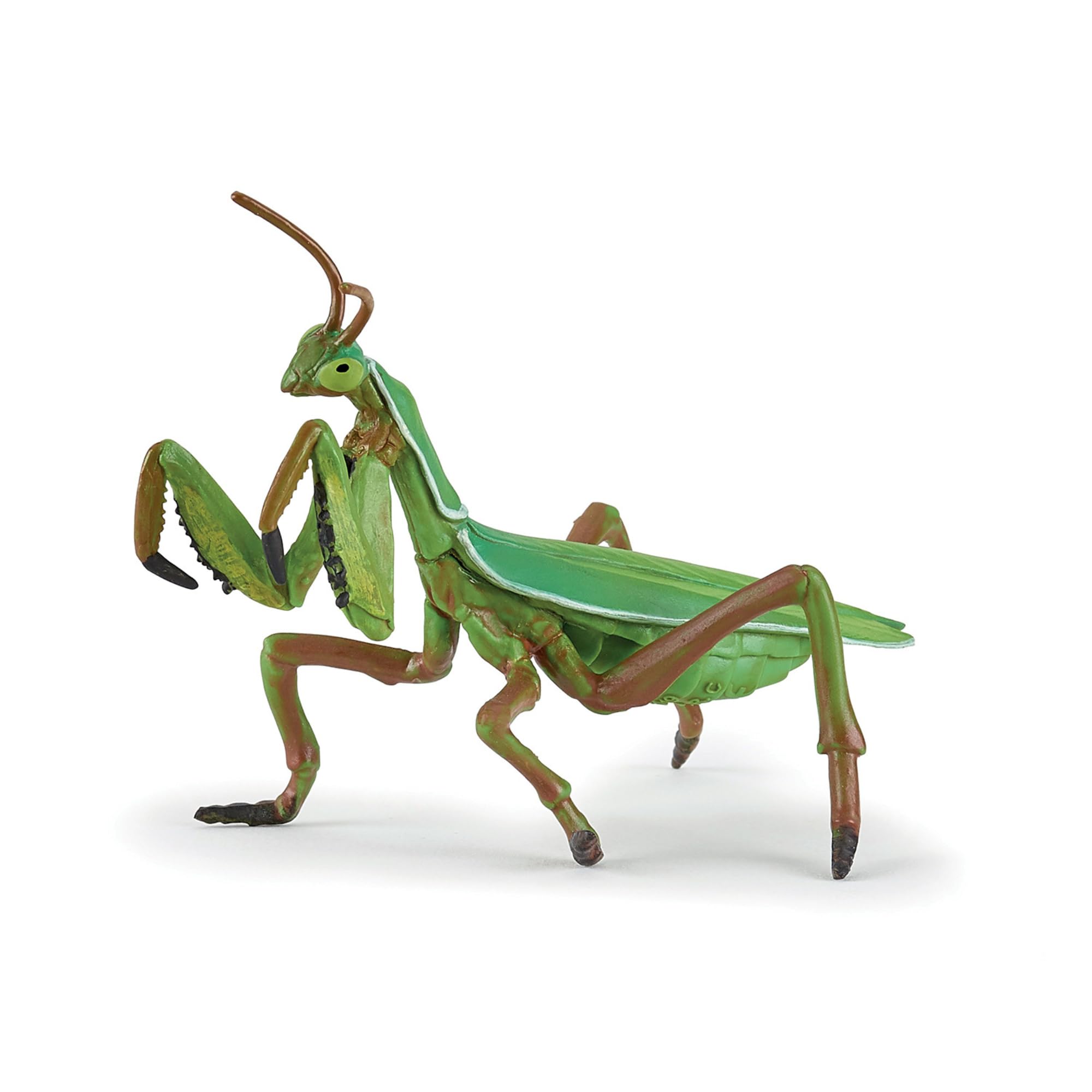 Papo Praying Mantis - Hand Painted Figurine - Heirloom Quality Collectible (50244)