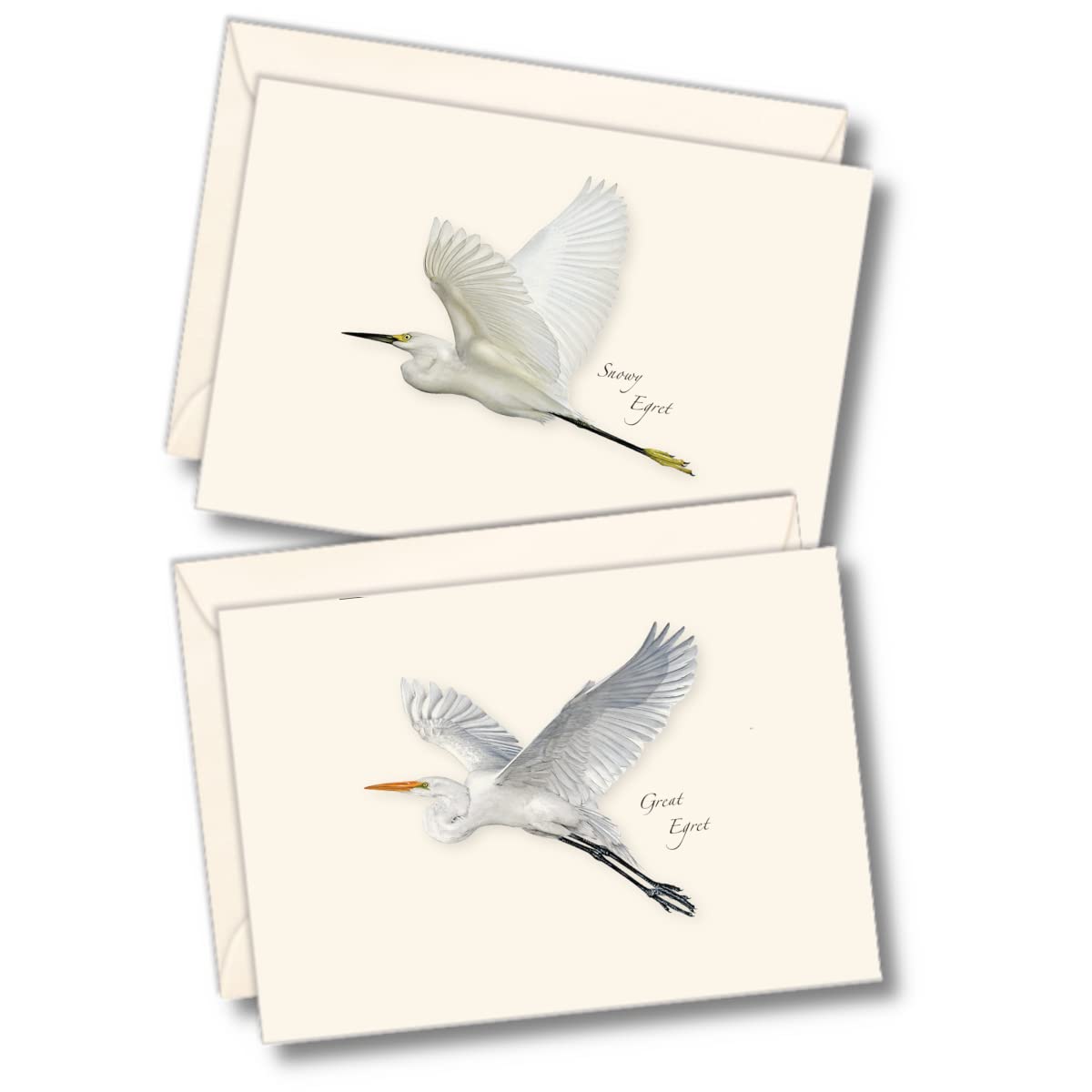 Earth Sky + Water - Egret Assortment Assortment Notecard Set - 8 Blank Cards with Envelopes (4 each of 2 styles)