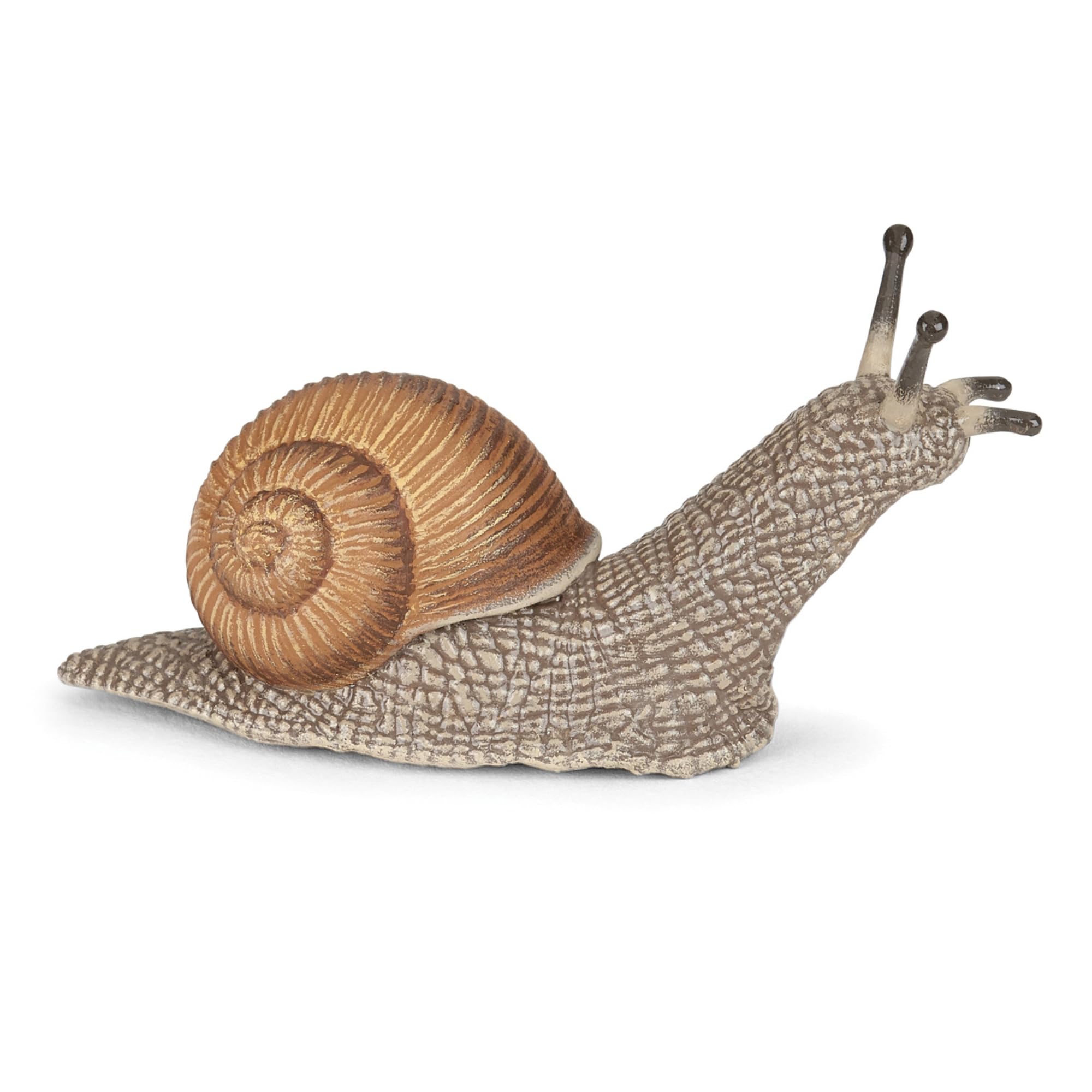 Papo Snail - Hand Painted Figurine - Heirloom Quality Collectible (50262)