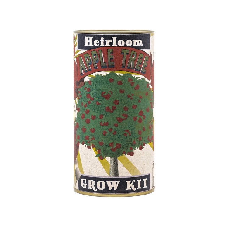 Apple Tree - Seed Grow Kit by Jonsteen Company