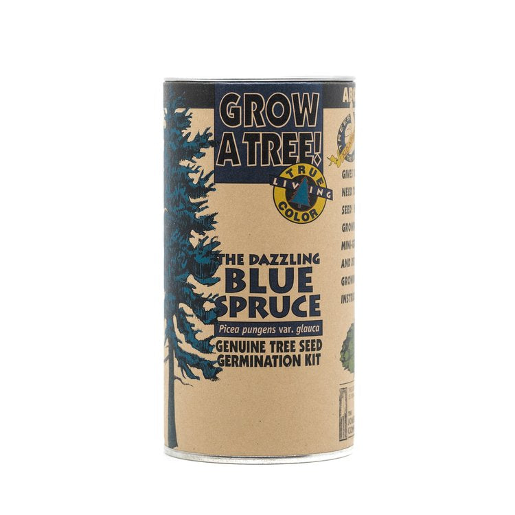 Blue Spruce - Seed Grow Kit by Jonsteen Company