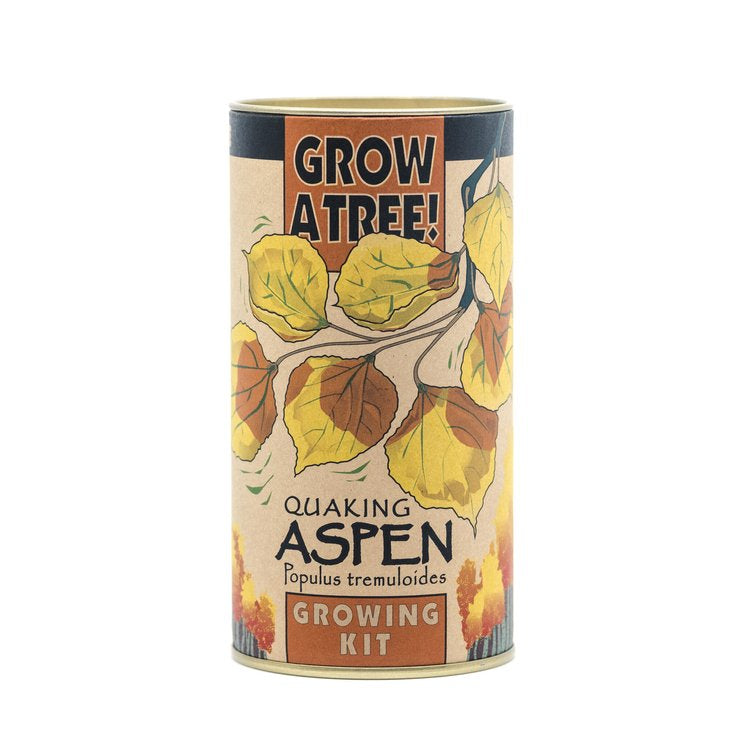 Quaking Aspen - Seed Grow Kit by Jonsteen Company