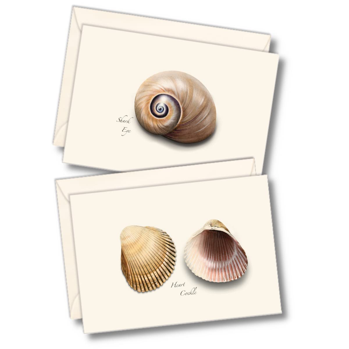 Earth Sky + Water - Seashell Assortment III Notecard Set - 8 Blank Cards with Envelopes (4 each of 2 styles)