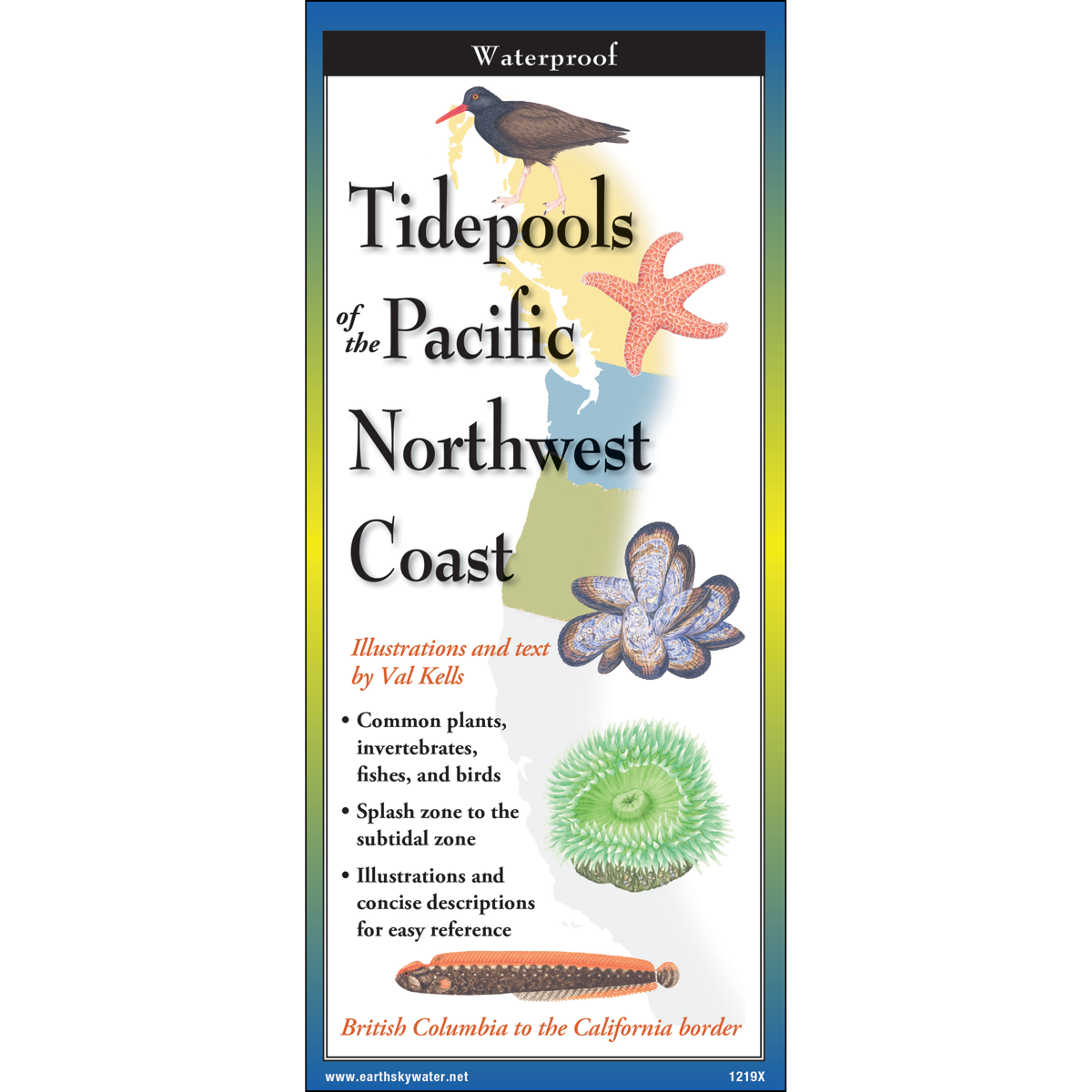 Earth Sky + Water Tidepools of the Pacific Northwest Coast - 10 Panel Foldable Laminated Nature Identification Guide