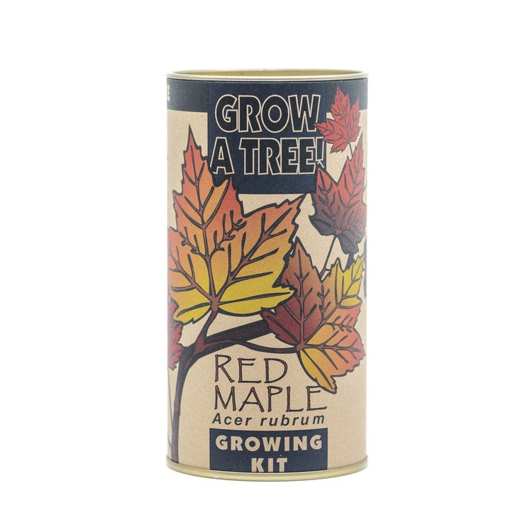 Red Maple - Seed Grow Kit by Jonsteen Company