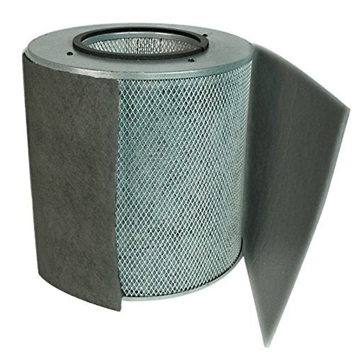 Austin Air FR402A Bedroom Machine Replacement Filter, Black