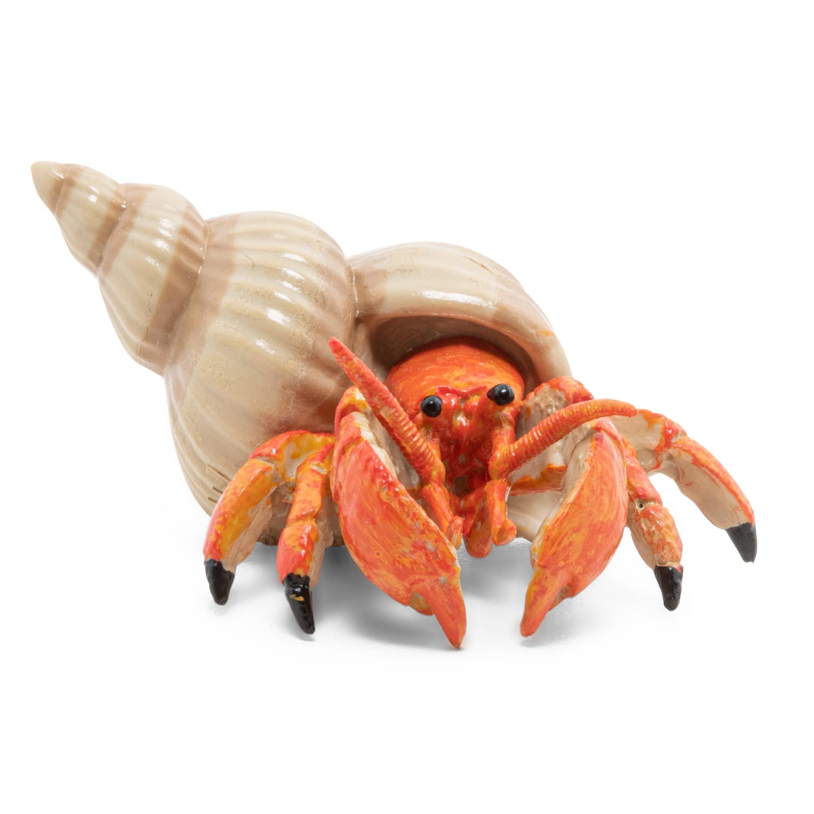 Papo Hermit Crab - Hand Painted Figurine - Heirloom Quality Collectible (56054)
