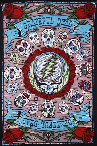 Minitapiz de pared en 3D de Grateful Dead de Sunshine Joy con calavera de Mexicali, 30 x 45 pulgadas