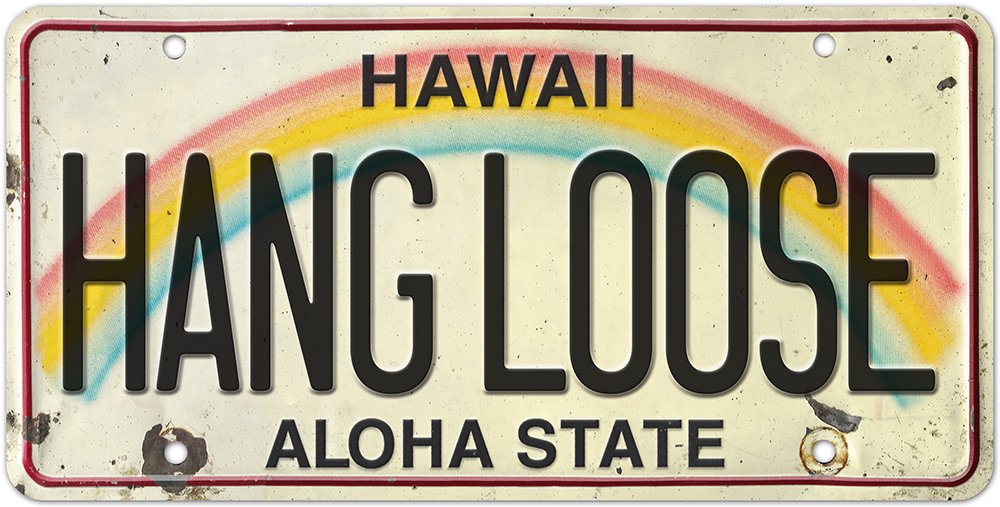 Pacifica Island Art 6inx12in Vintage Hawaiian Embossed License Plate Hang Loose