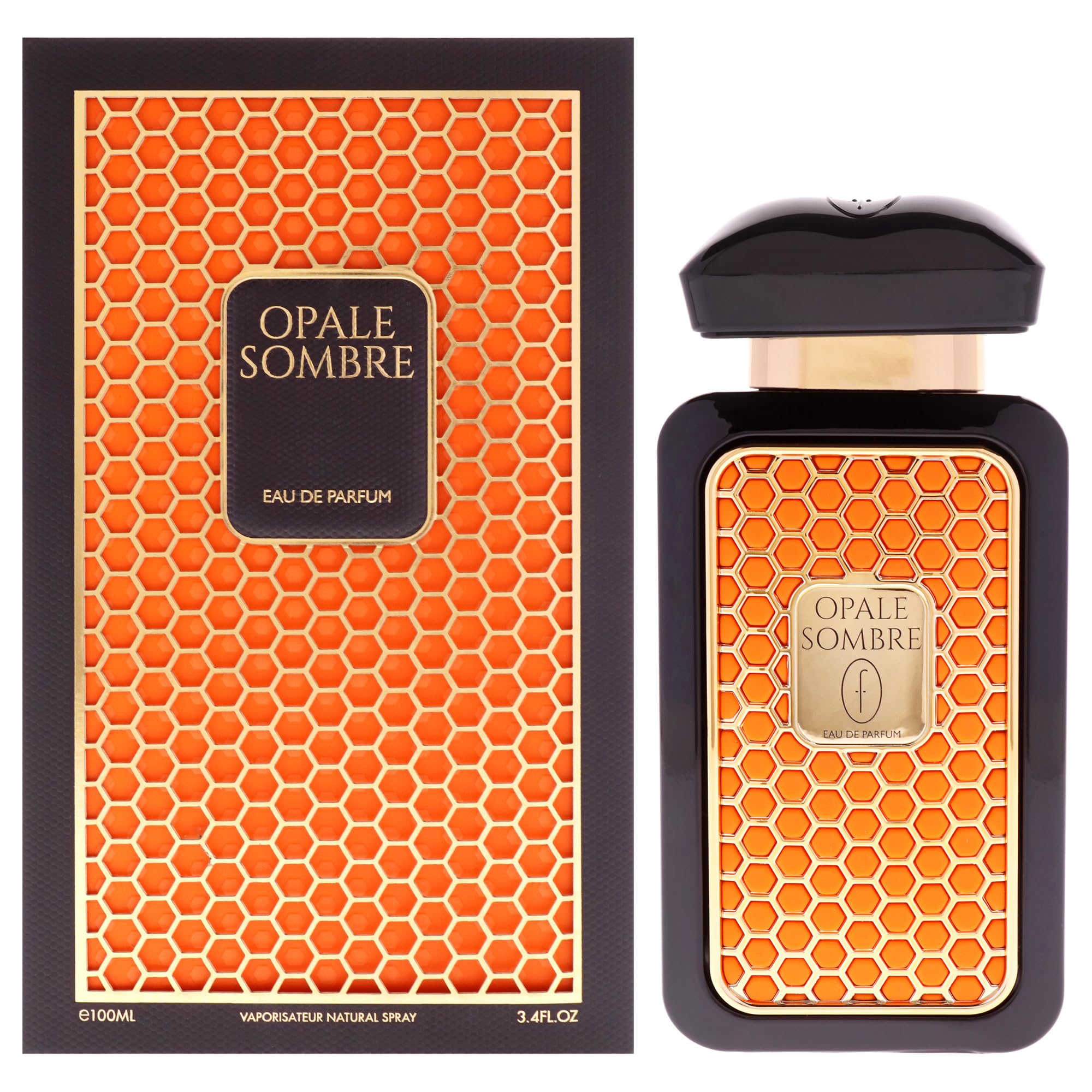 Flavia Opale Sombre Eau de Parfum for Men, Deep Woody Leather Oud Fragrance with Rich Dark Intensity, 3.4 oz Spray