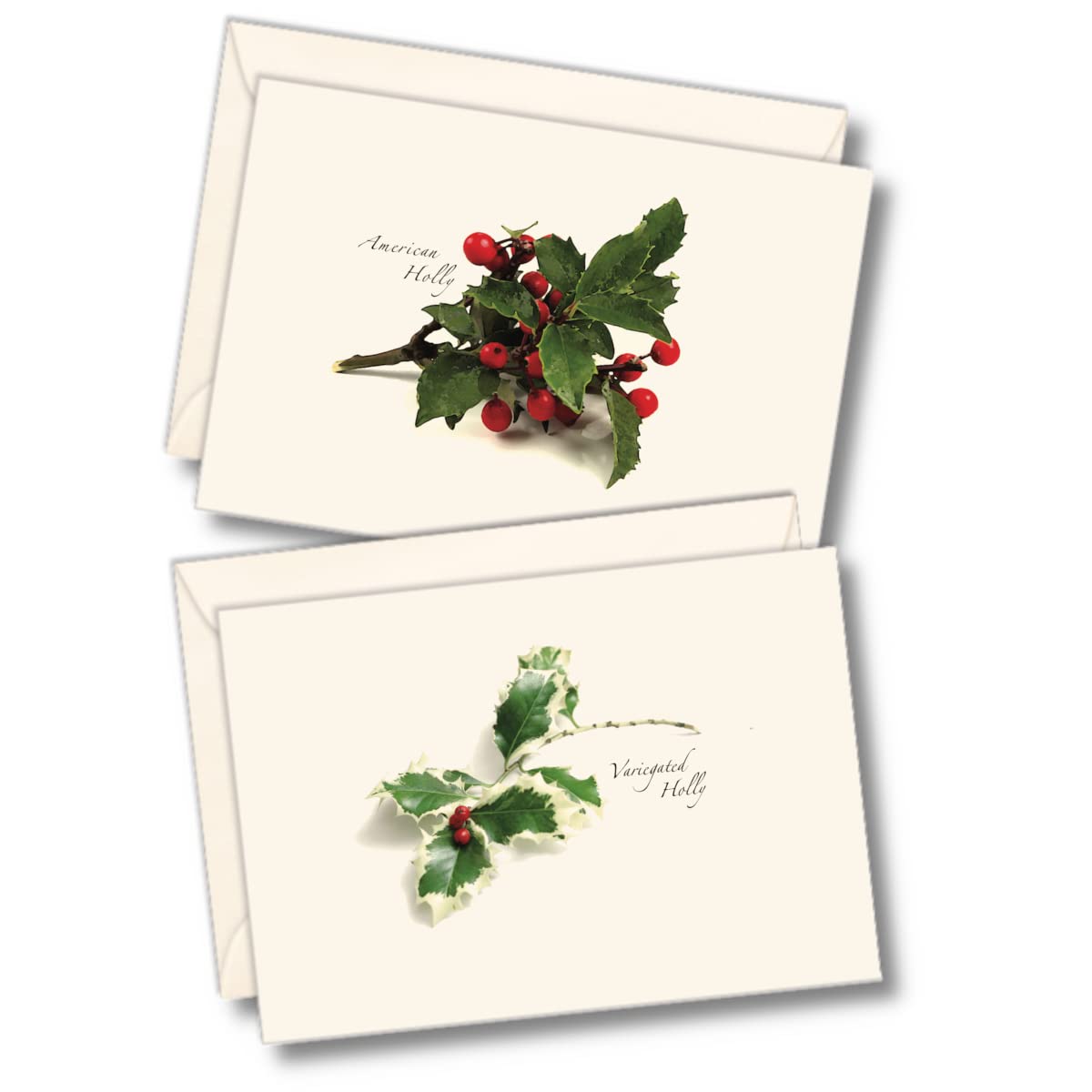 Earth Sky + Water - American Holly Assortment Notecard Set - 8 Blank Cards with Envelopes (4 each of 2 styles)