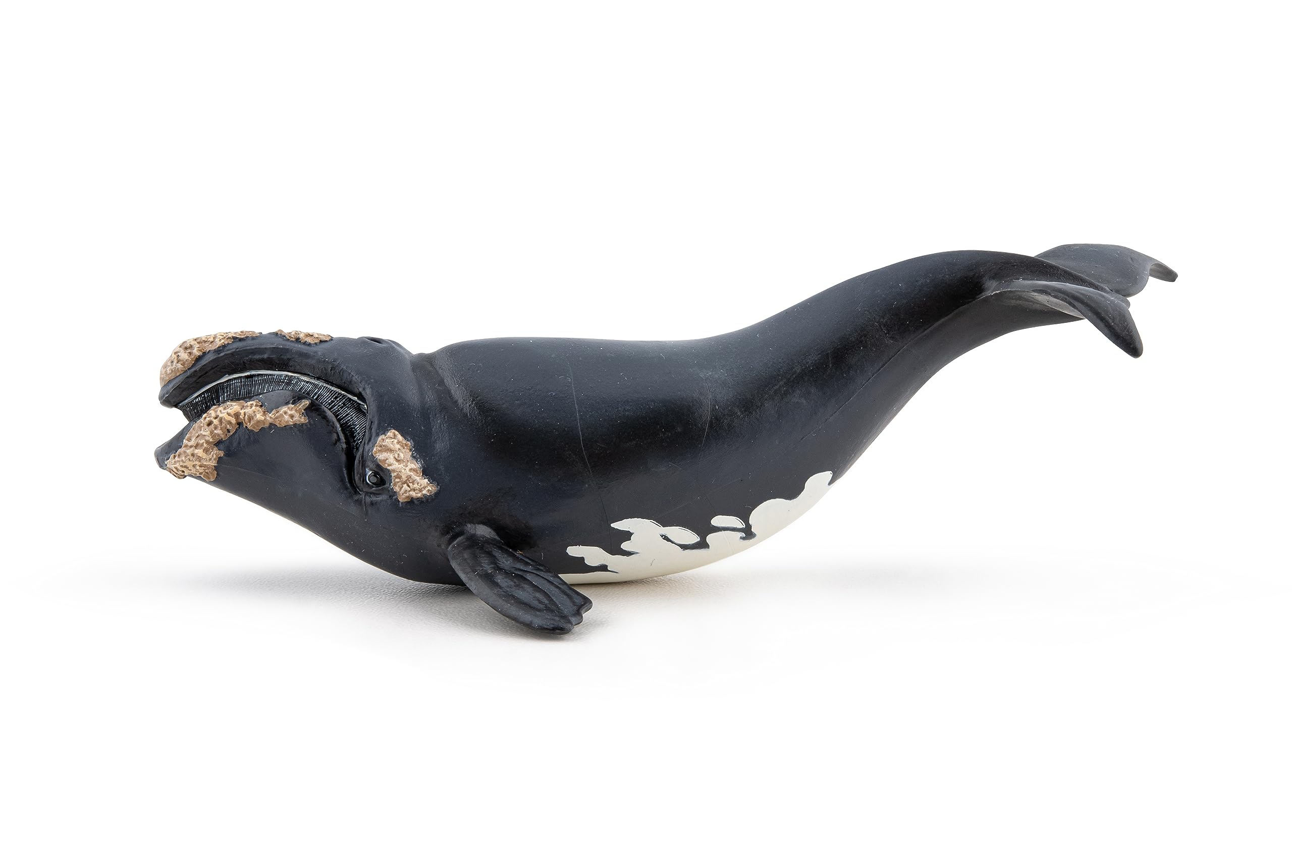 Papo Right Whale - Hand Painted Figurine - Heirloom Quality Collectible (56057)