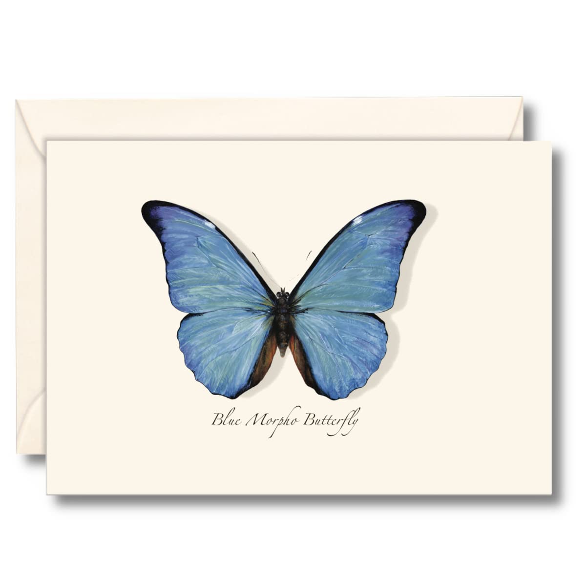 Earth Sky + Water - Blue Morpho Butterfly Notecard Set - 8 Blank Cards with Envelopes