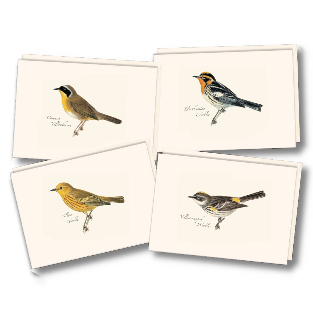Earth Sky + Water - Peterson Warbler Assortment Notecard Set - 8 Blank Cards with Envelopes (2 each of 4 styles)