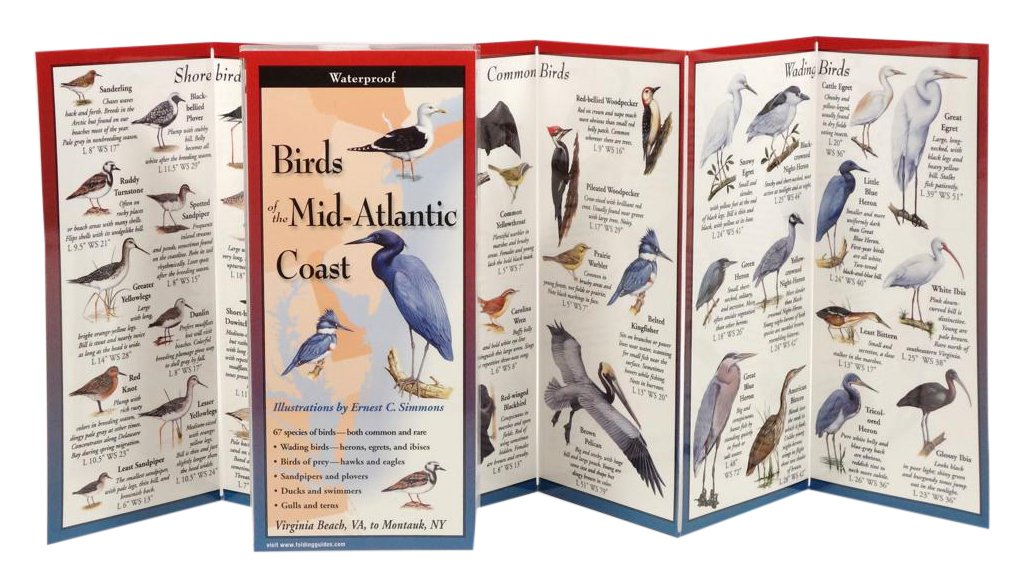 Earth Sky + Water FoldingGuide Birds of the Mid-Atlantic Coast - Foldable Laminated Nature Identification Guide