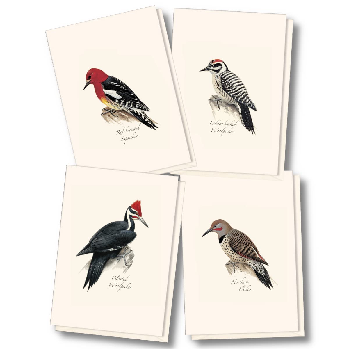 Earth Sky + Water - Peterson W. Woodpecker Assortment Notecard Set - 8 Blank Cards with Envelopes (2 each of 4 styles)