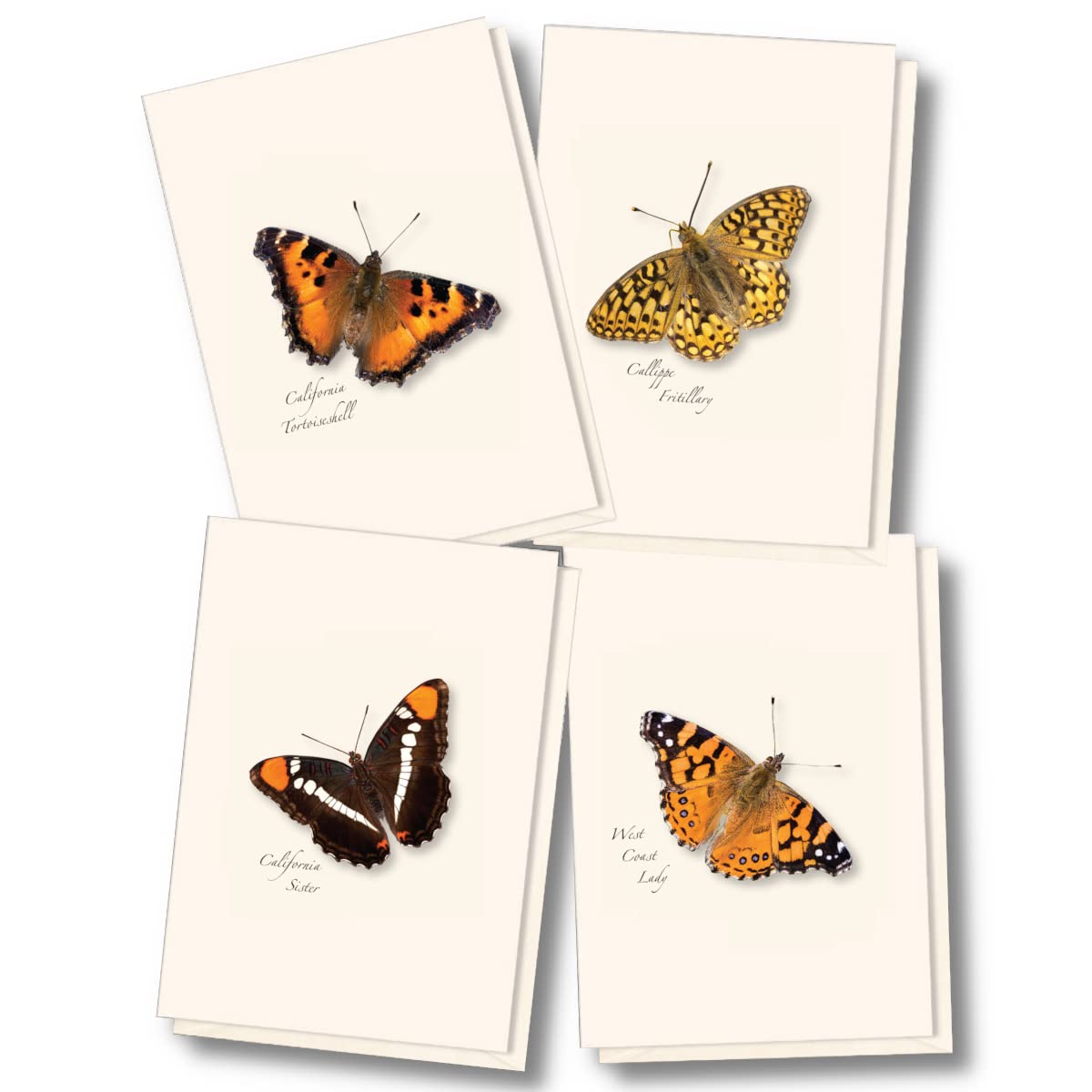 Earth Sky + Water - Western Butterfly Assortment I Notecard Set - 8 Blank Cards with Envelopes (2 each of 4 styles)