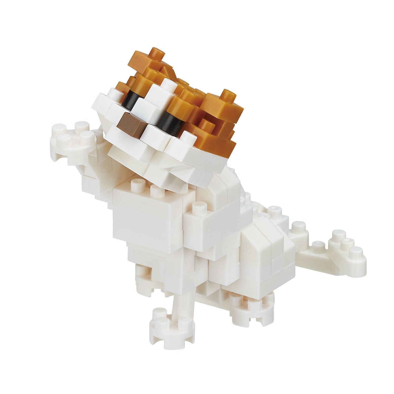 nanoblock Scottish Fold, Cat Breed Collection Series Building Kit