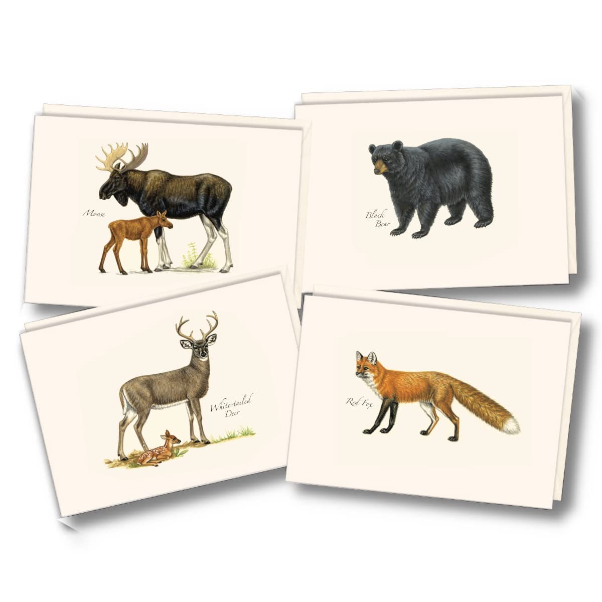 Earth Sky + Water - Mammal Notecard Set - 8 Blank Cards with Envelopes (2 each of 4 styles)