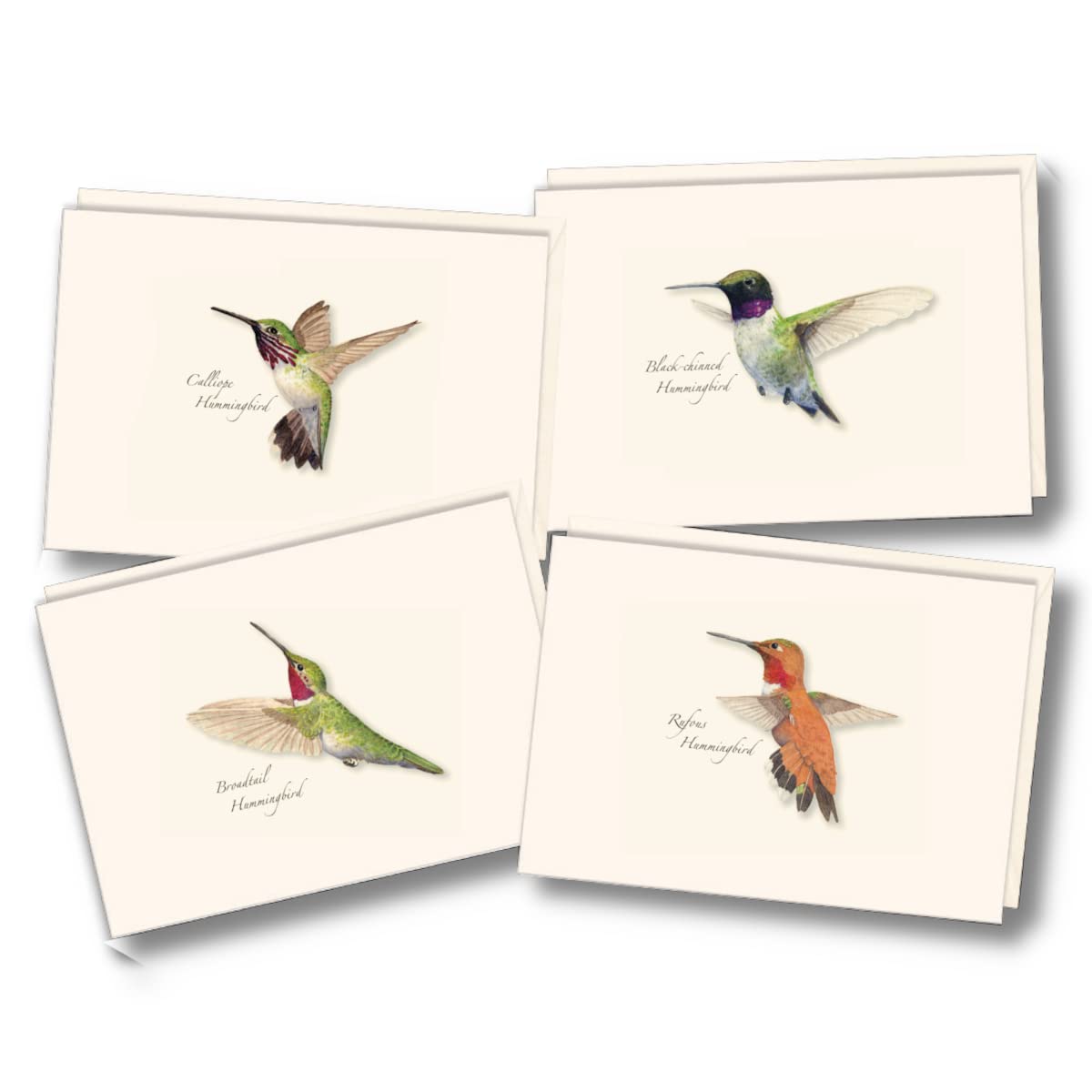 Earth Sky + Water - Western Hummingbird Assortment Notecard Set - 8 Blank Cards with Envelopes (2 each of 4 styles)