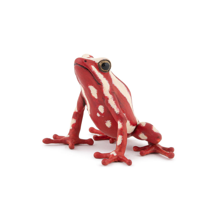 Papo Poison Dart Frog Hand Painted Figurine - Heirloom Quality Collectible (50315)