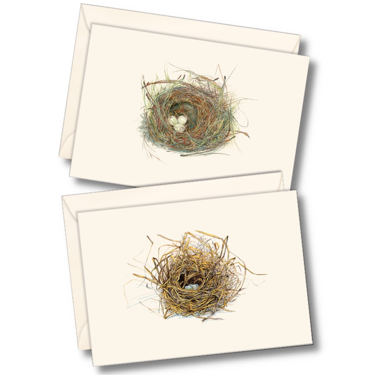 Earth Sky + Water - Eggs in Nest Notecard Set - 8 Blank Cards with Envelopes