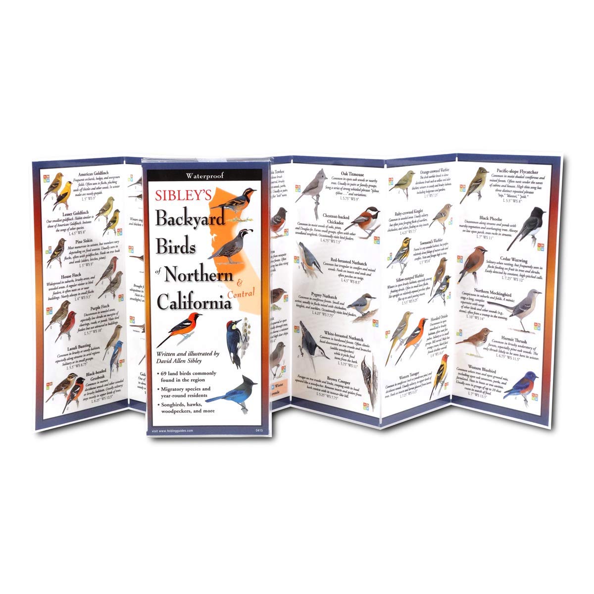 Earth Sky + Water FoldingGuide - Sibleys Backyard Birds of Northern & Central California - 10 Panel Foldable Laminated Nature Identification Guide