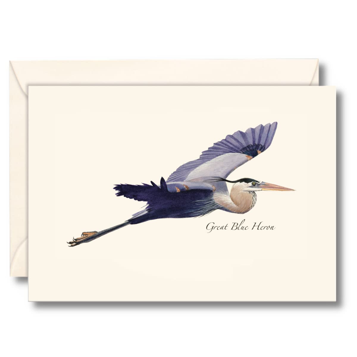 Earth Sky + Water - Great Blue Heron in Flight Notecard Set - 8 Blank Cards with Envelopes