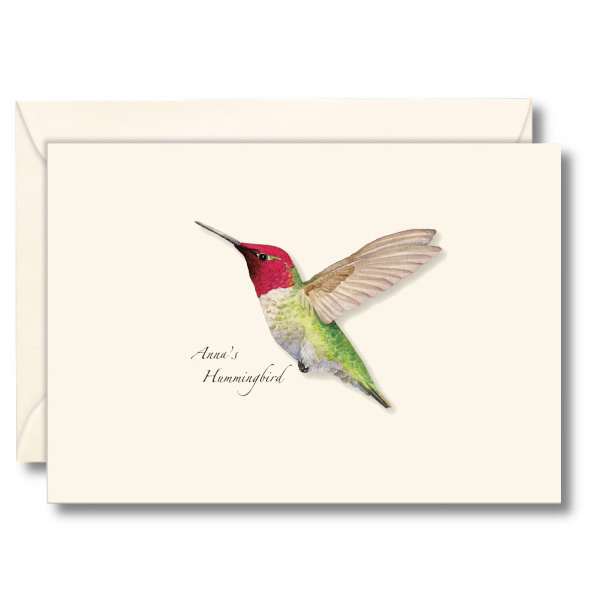 Earth Sky + Water - Annas Hummingbird Notecard Set - 8 Blank Cards with Envelopes