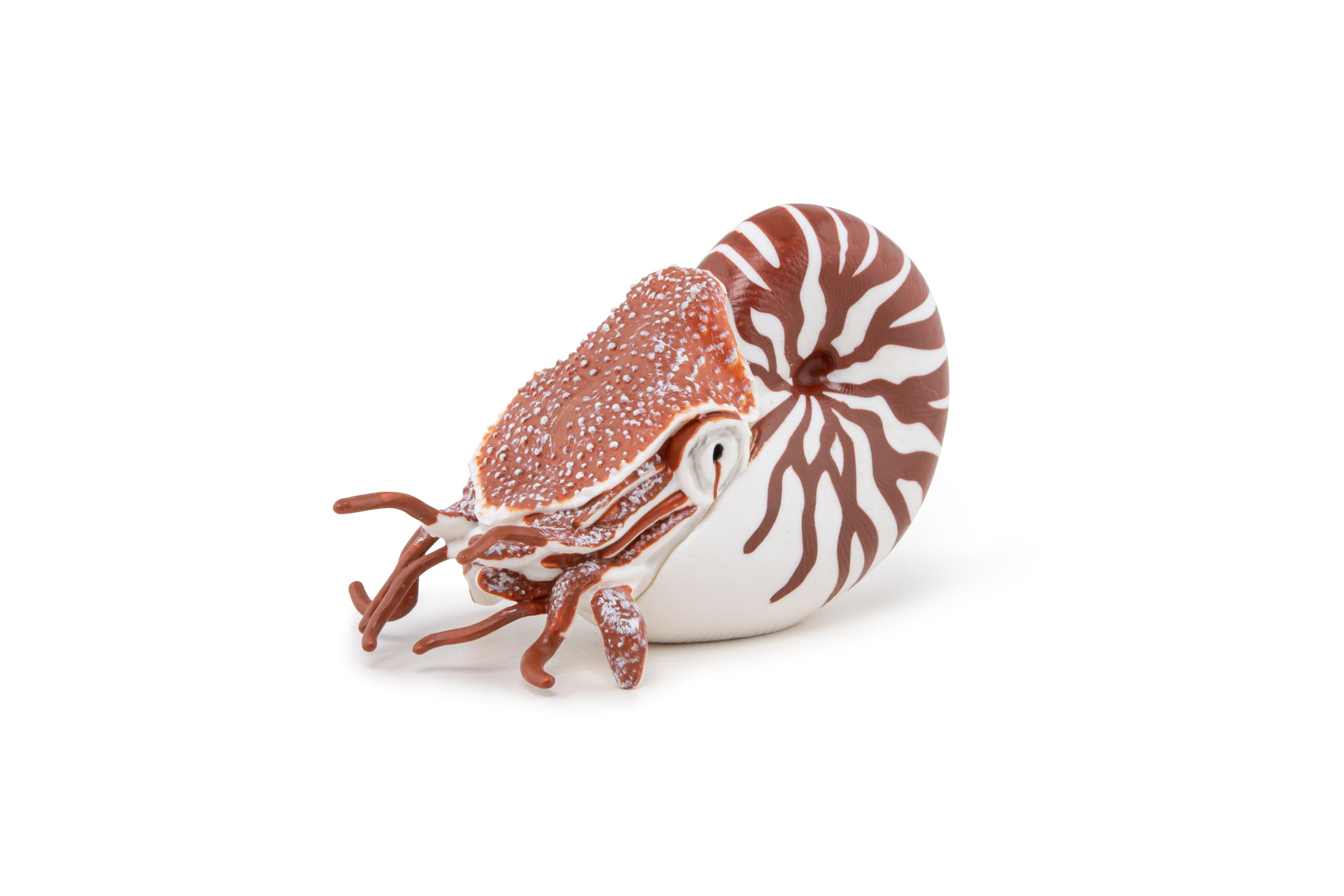 Papo Nautilus - Hand Painted Figurine - Heirloom Quality Collectible (56061)