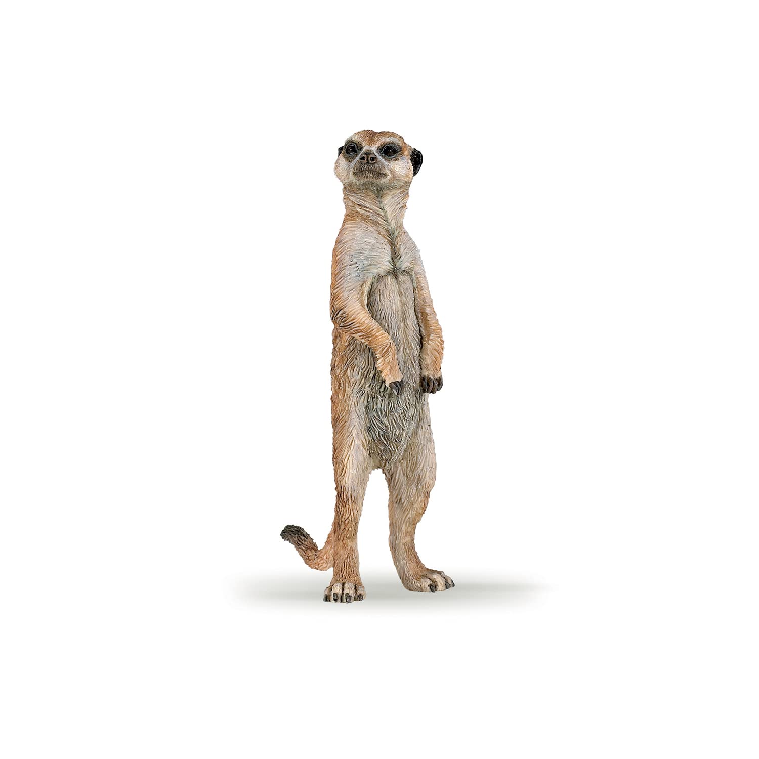 Papo Standing Meerkat - Hand Painted Figurine - Heirloom Quality Collectible (50206)