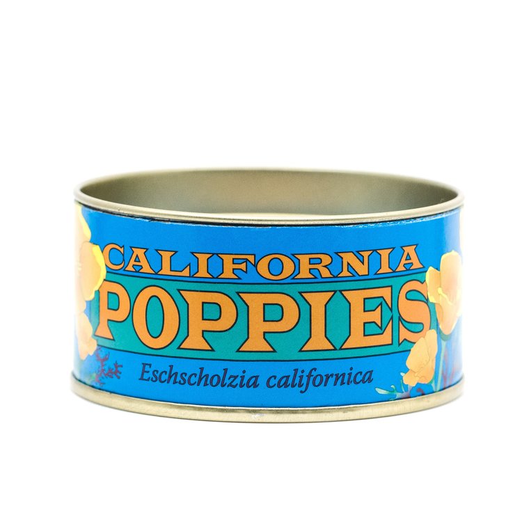 California Poppy - Flower Seed Grow Kit by Jonsteen Company
