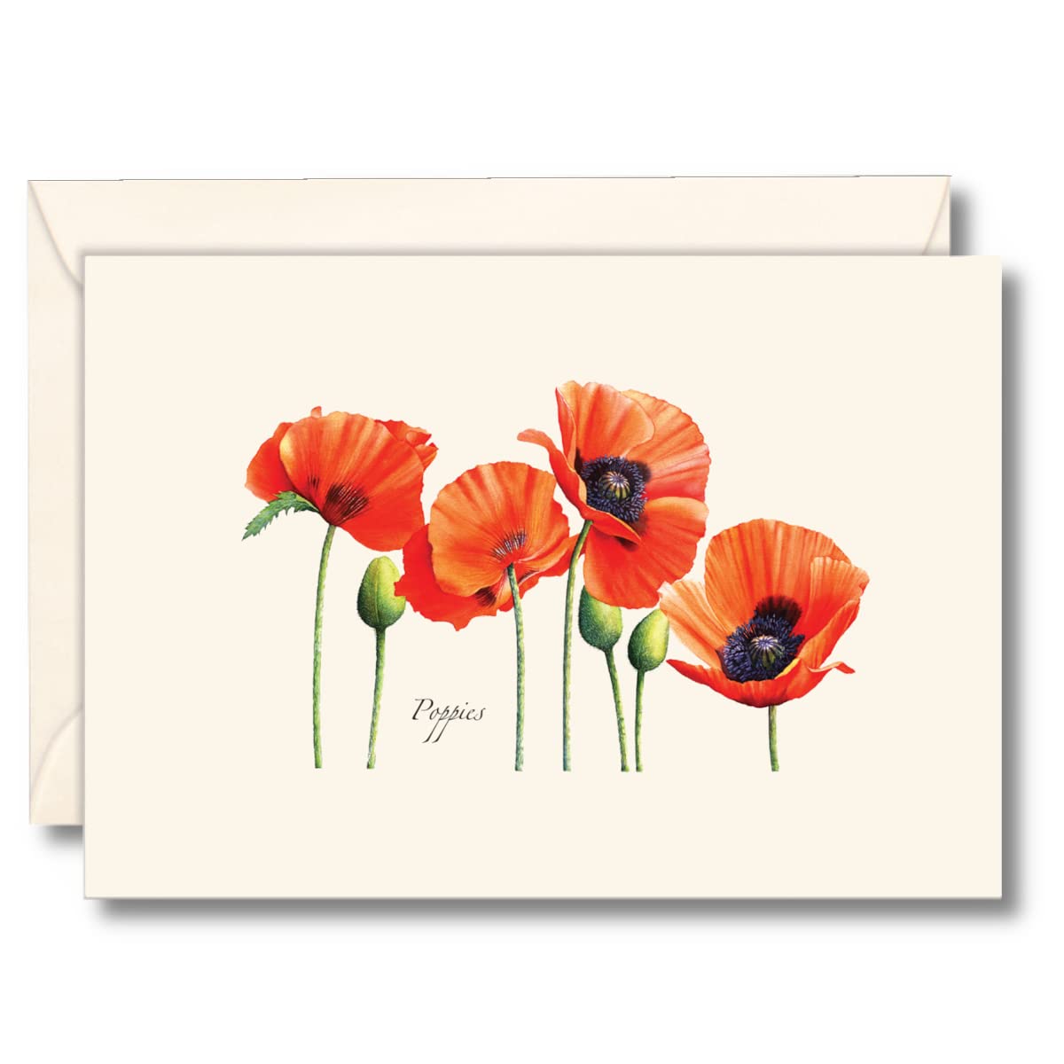 Earth Sky + Water - Poppies Notecard Set - 8 Blank Cards with Envelopes