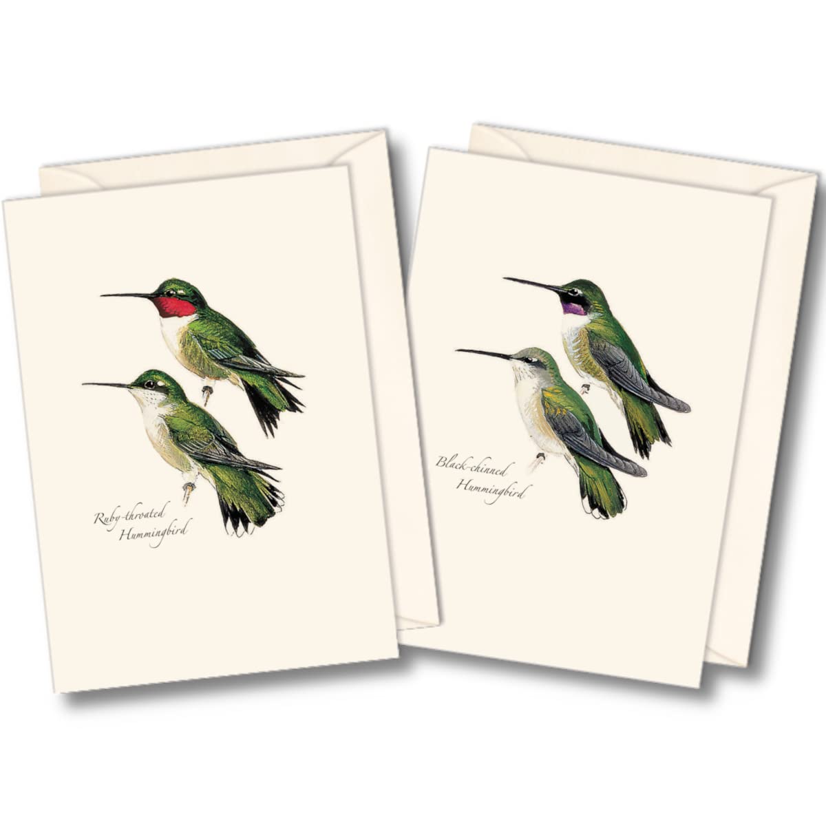 Earth Sky + Water - Petersons Hummingbird Notecard Set - 8 Blank Cards with Envelopes (4 each of 2 styles)