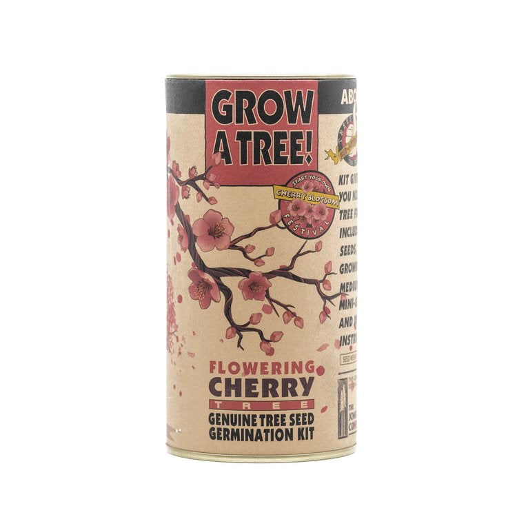 Flowering Cherry Blossom - Seed Grow Kit by Jonsteen Company