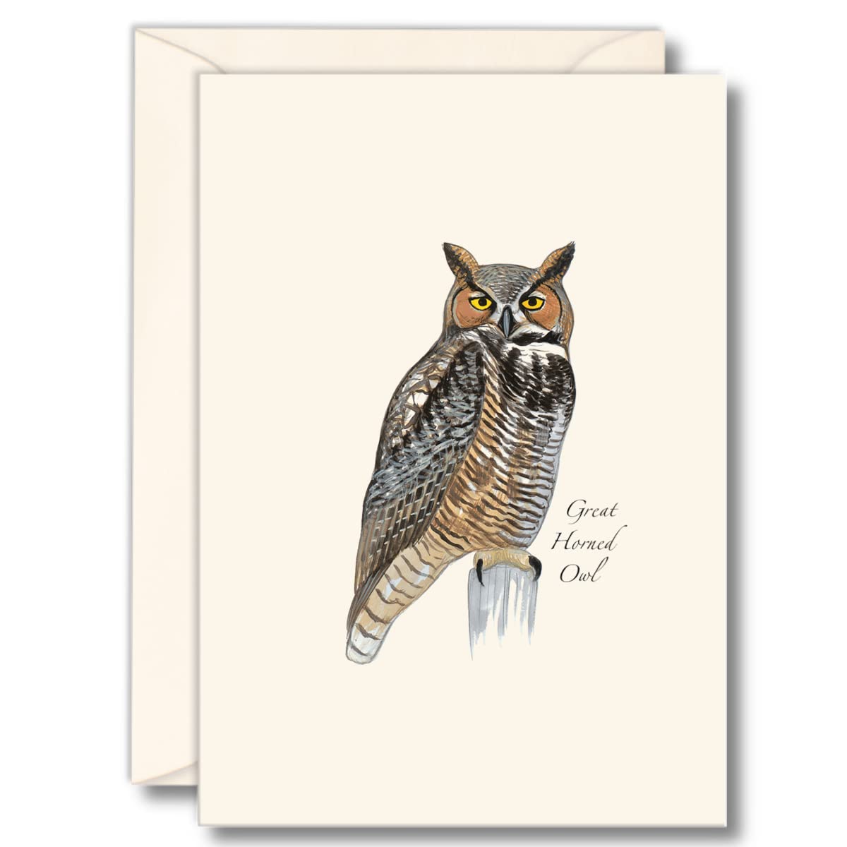 Earth Sky + Water - Great Horned Owl Notecard Set - 8 Blank Cards with Envelopes