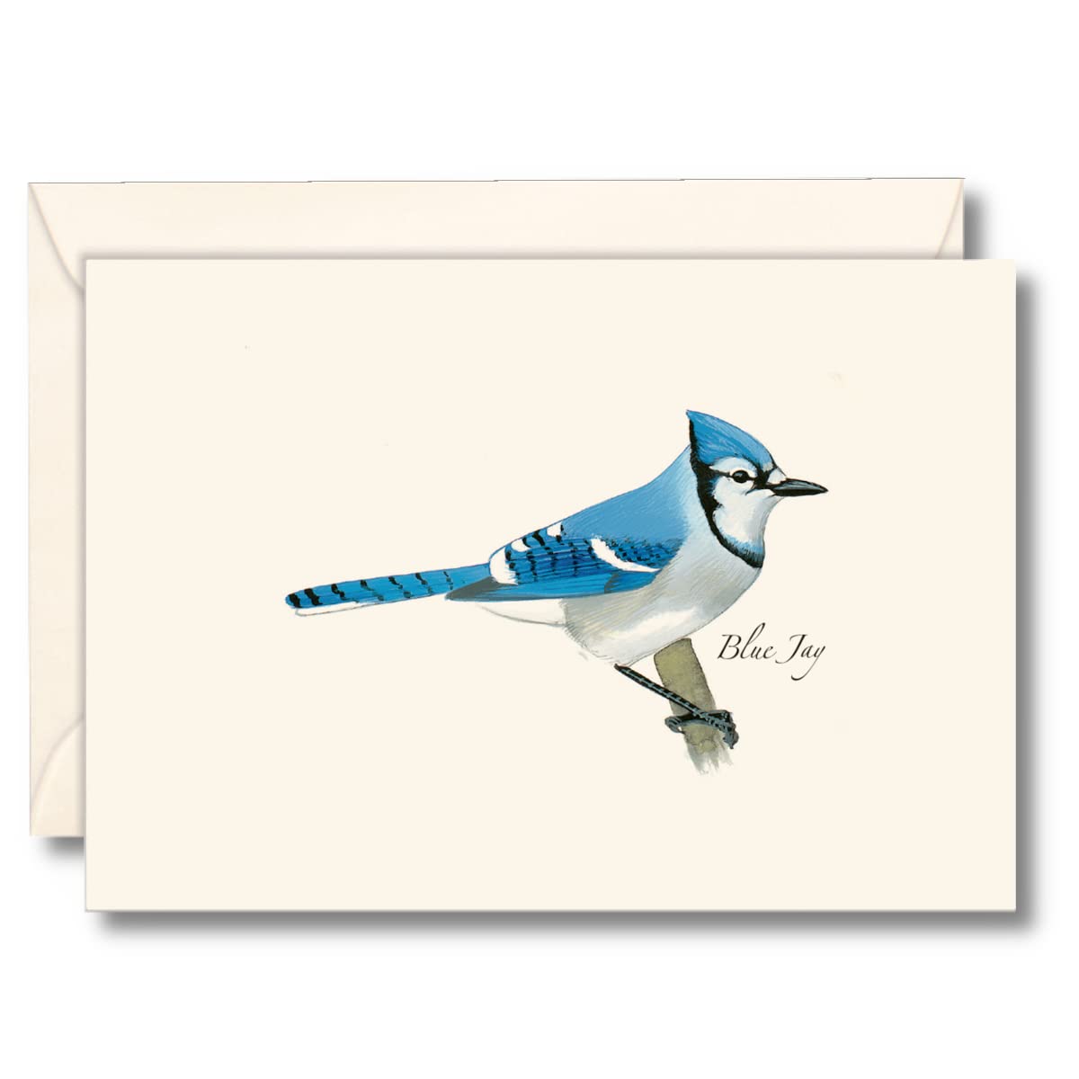 Earth Sky + Water - Blue Jay Notecard Set - 8 Blank Cards with Envelopes
