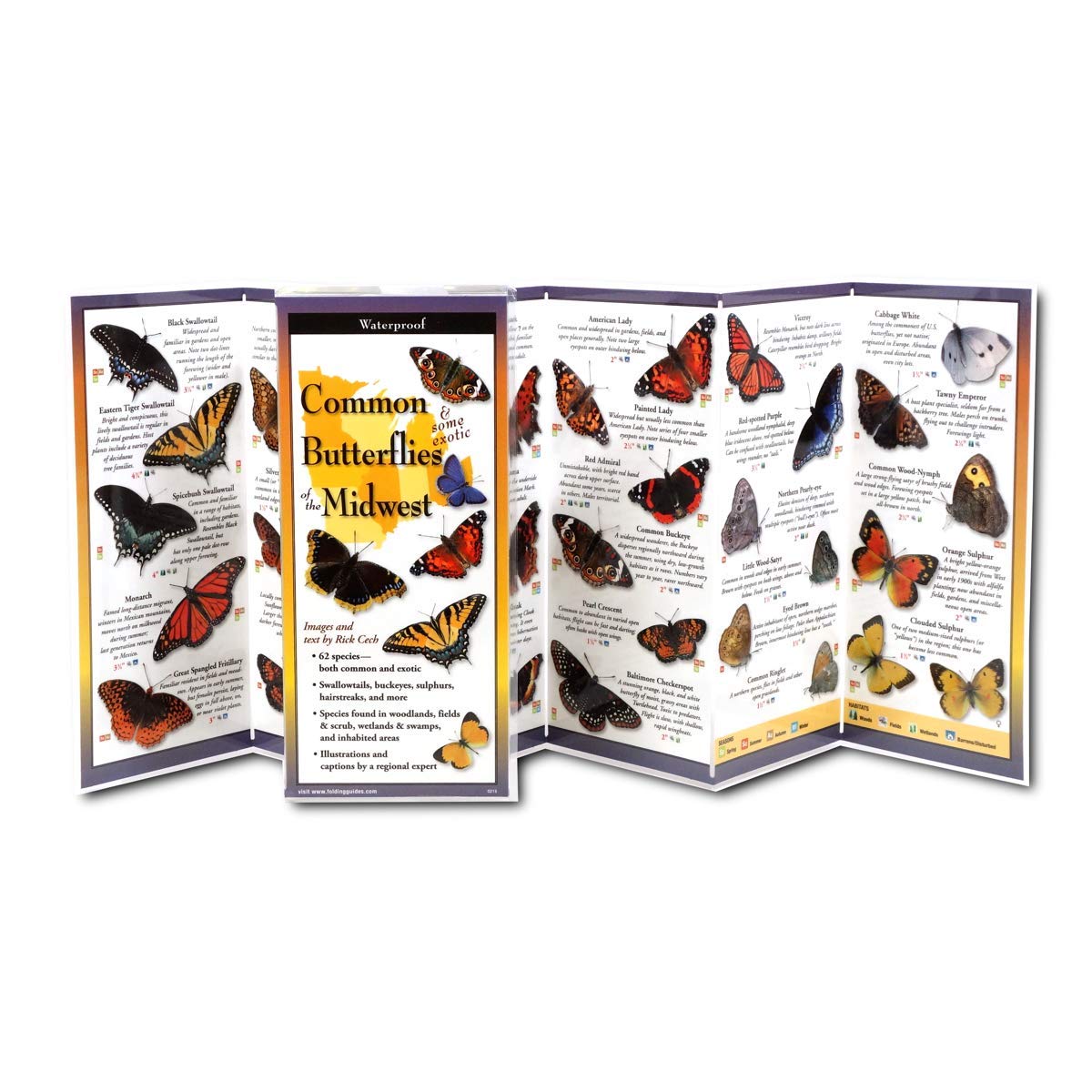 Earth Sky + Water FoldingGuide - Common Butterflies of the Midwest - 10 Panel Foldable Laminated Nature Identification Guide