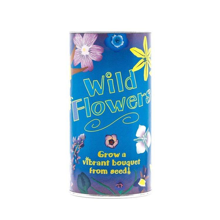 Wildflower Mix - Flower Seed Grow Kit by Jonsteen Company