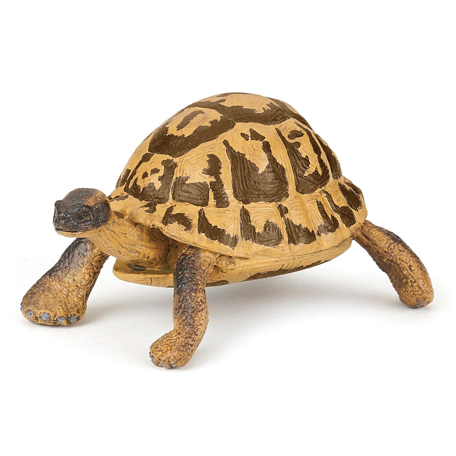 Papo Hermann's Tortoise Hand Painted Figurine - Heirloom Quality Collectible (50264)