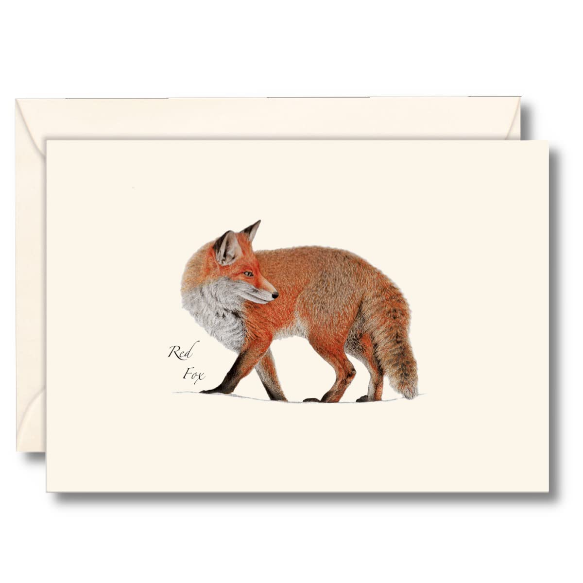Earth Sky + Water - Red Fox Notecard Set - 8 Blank Cards with Envelopes