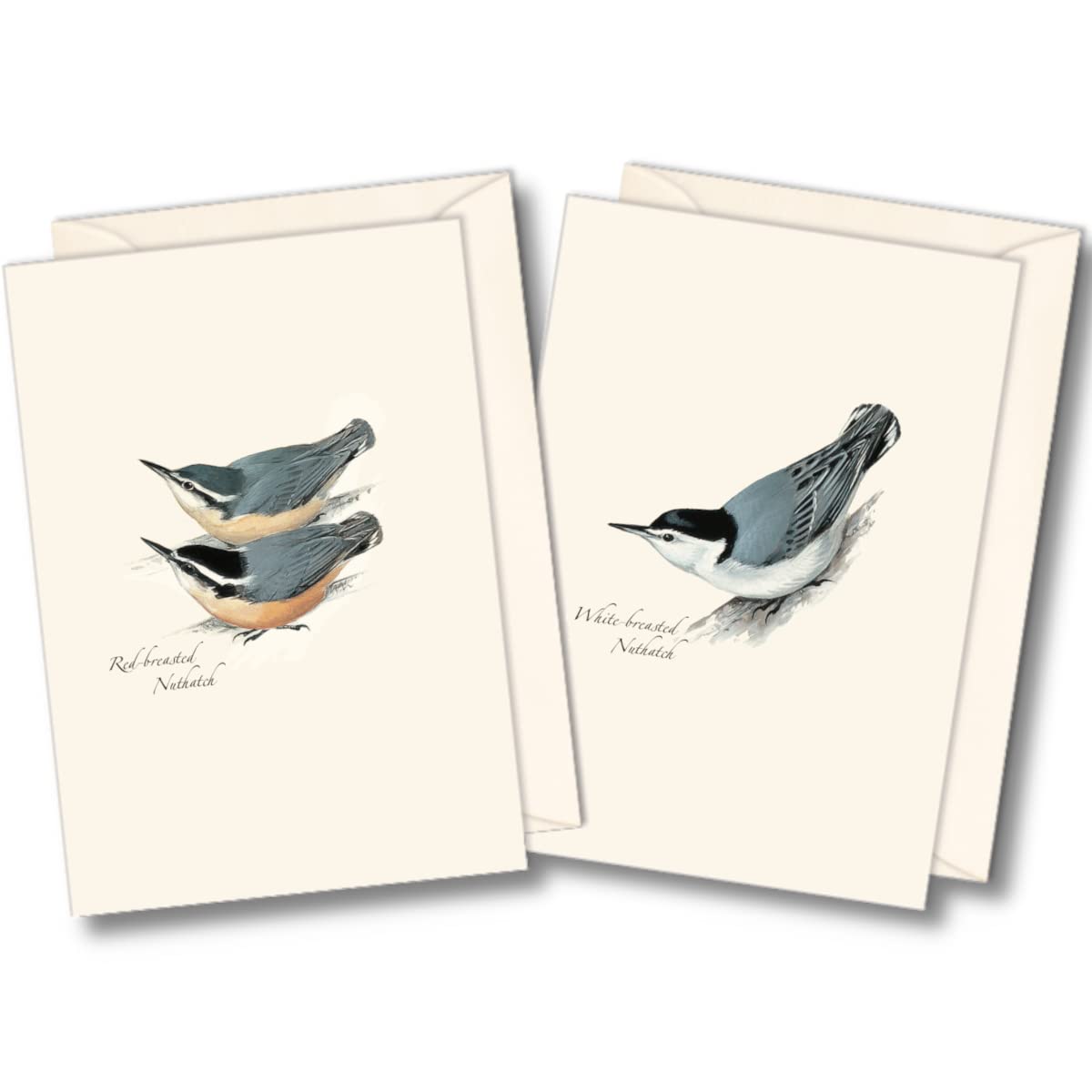 Earth Sky + Water - Petersons Nuthatch Assortment Notecard Set - 8 Blank Cards with Envelopes (4 Each of 2 Styles)