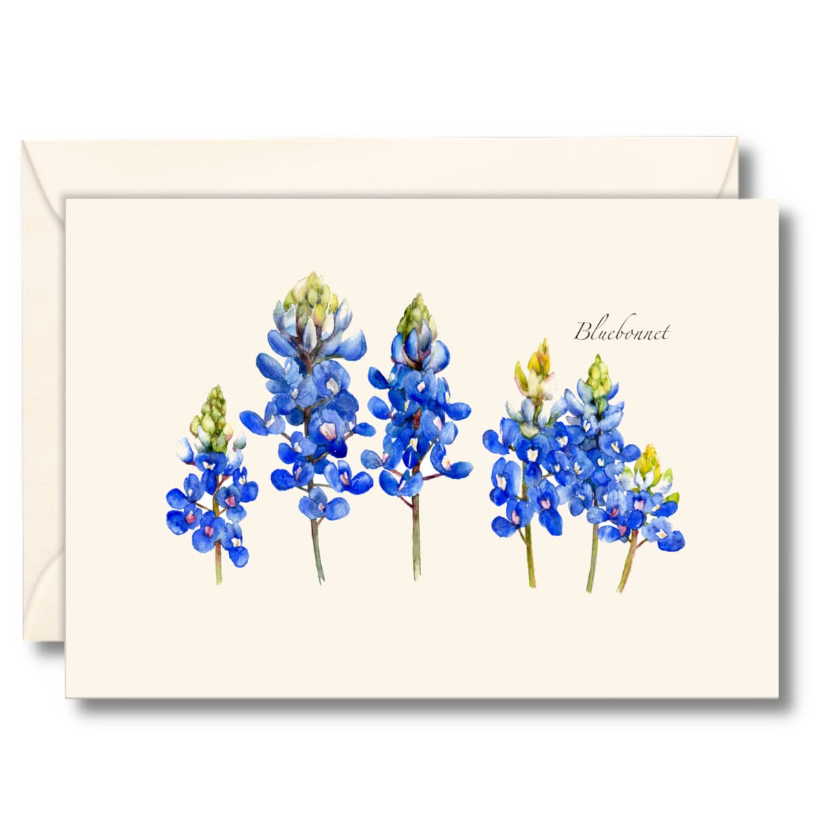 Earth Sky + Water - Bluebonnet Notecard Set - 8 Blank Cards with Envelopes