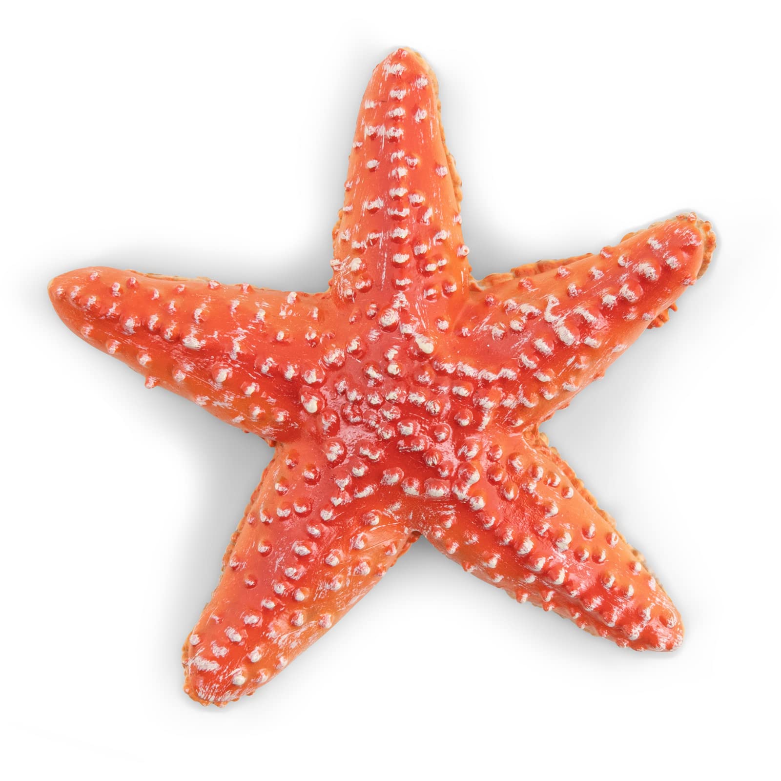 Papo Starfish - Hand Painted Figurine - Heirloom Quality Collectible (56050)