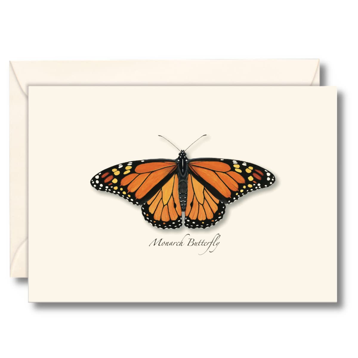 Earth Sky + Water - Monarch Butterfly Notecard Set - 8 Blank Cards with Envelopes