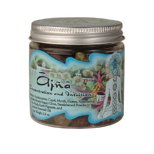 Prabhuji's Gifts Ajna Chakra Concentration and Intuition Ramakrishnananda Resin Incense 2.4 Oz Jar