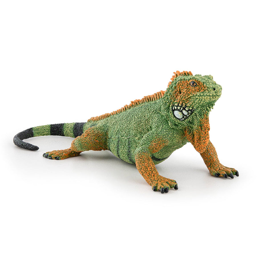 Papo Iguana Hand Painted Figurine - Heirloom Quality Collectible (50306)