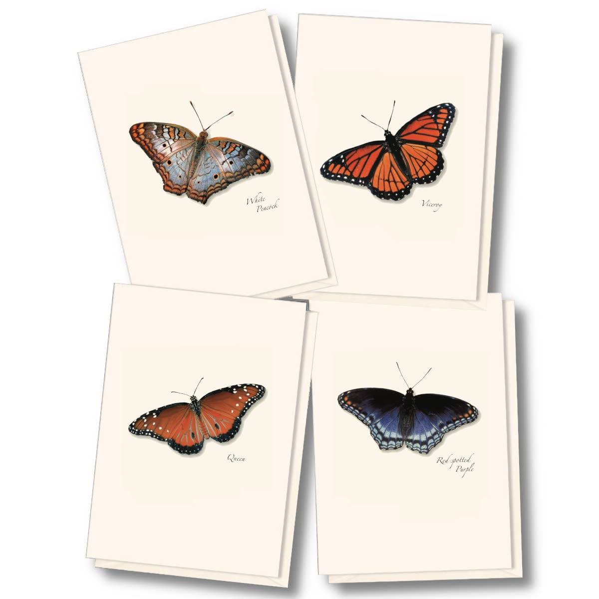 Earth Sky + Water - Butterfly Assortment II Notecard Set - 8 Blank Cards with Envelopes (2 each of 4 styles)