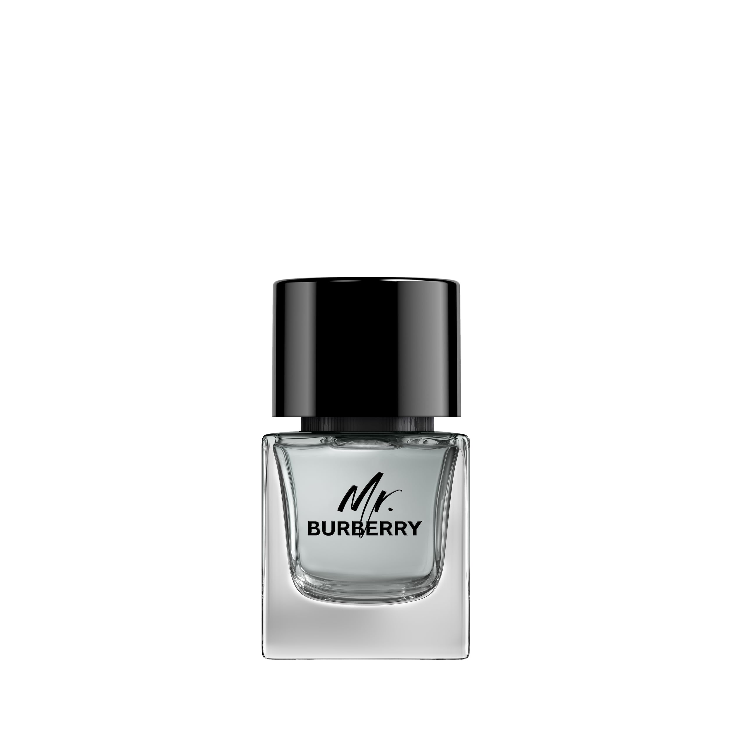 Mr Burberry Eau de Toilette Men Woody Aromatic Scent 1.6 oz Spray