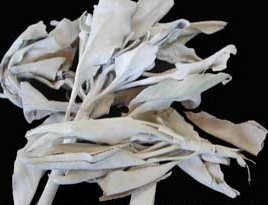 Sage Ceremonial (White) - Bulk Herb 1 Ounce